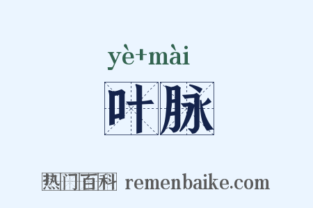 叶脉是什么意思的图片